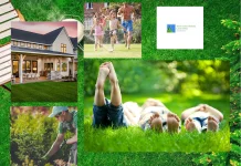 Thick Green Healthy Lawn & Pest Solutions for Vibrant, Pest-Free Yards