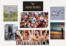Best Dove Hunting in Argentina for Expert-Guided Luxury Hunting Experiences