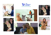 Expert Pet Vet Care Qatar for Healthy and Happy Pets