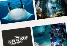 Ultimate Guide to Cenote Diving: Explore Mexico’s Stunning Underwater Caves