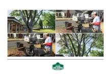 Flynn Tree Service: Professional Tree Trimming, Removal, and Maintenance Experts
