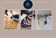 Expert Water Damage Restoration New York Services for Fast and Reliable Property Recovery