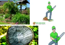 Professional Stump Removal Melbourne Services for Residential and Commercial Properties