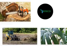 Professional Tree Removal Werribee Services for Safe and Affordable Tree Care