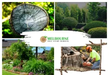 Expert Stump Removal Werribee Services for Clean and Safe Outdoor Spaces
