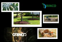 Professional Tree Removal Williamstown Services for Safe and Efficient Outdoor Solutions