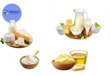 Top Dairy Ingredients Suppliers for High-Quality and Reliable Sourcing Solutions