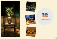 Enhance Your Outdoor Space with Stylish and Durable Deck Lighting Solutions