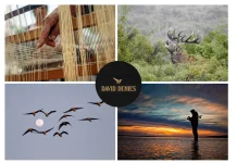 Discover the Best Duck Hunting in Argentina with Expert Guides and Luxury Lodges