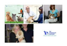 Trusted Pet Relocation Services Qatar for Safe and Stress-Free Travel